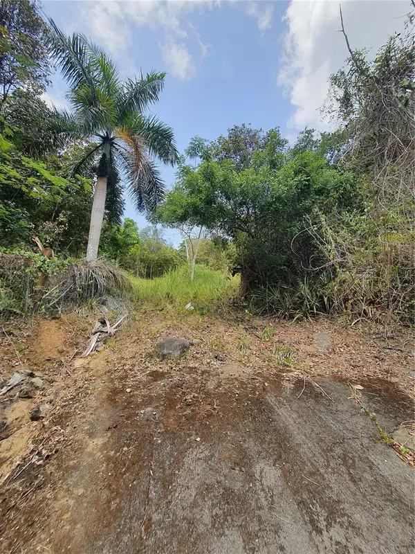 PR-853 INTERIOR CACAO WARD #LOT 7, Carolina, PR 00987