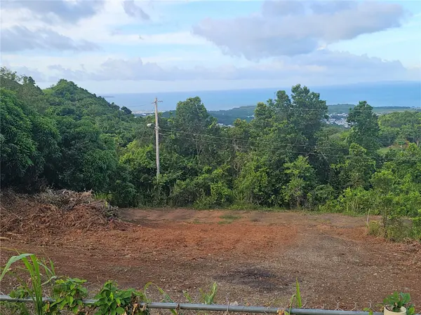975 INT, Ceiba, PR 00735