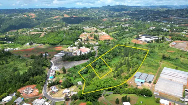 779 St. QUEBRADILLAS, Barranquitas, PR 00794