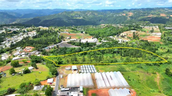 779 St. QUEBRADILLAS, Barranquitas, PR 00794