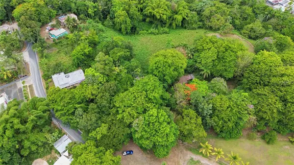PR 176 KM6.6 CUPEY ALTO, San Juan, PR 00926