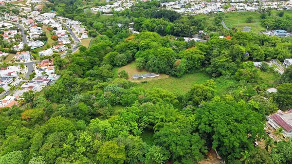 PR 176 KM6.6 CUPEY ALTO, San Juan, PR 00926