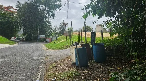 Address not disclosed, Morovis, PR 00687