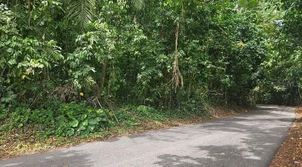 Address not disclosed, Morovis, PR 00687