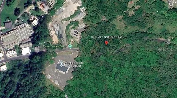 Address not disclosed, Morovis, PR 00687