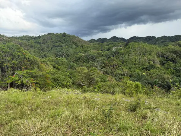PR 6684 BUENA VISTA KM HM 2.5, Morovis, PR 00687