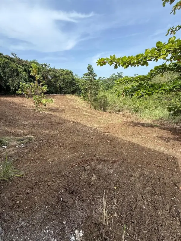 Ranchos Nativos ORQUIDEA ST LOT 43, Vega Alta, PR 00692