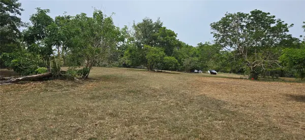 CAMINO NUEVO, Yabucoa, PR 00767