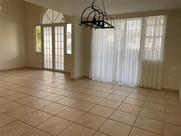 Palma Real COCO PLUMOSA, Guaynabo, PR 00966