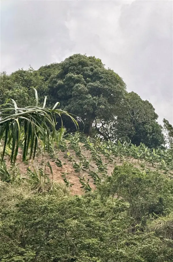 Km 0.9 ROUTE 759, Maunabo, PR 00707