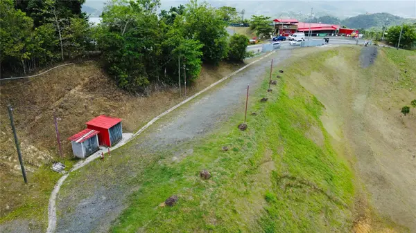 BO. QUEMADO, San Lorenzo, PR 00754