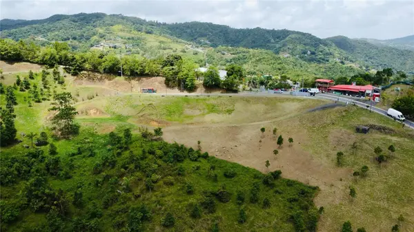 BO. QUEMADO, San Lorenzo, PR 00754