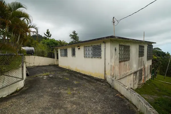 #143 BO ANON, #5, Ponce, PR 00730