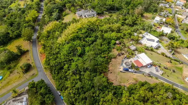 URB LA ESMERALDA A1 ORQUÍDEA, Caguas, PR 00725