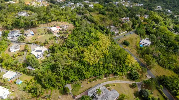 URB LA ESMERALDA A1 ORQUÍDEA, Caguas, PR 00725