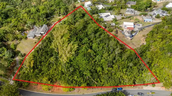 URB LA ESMERALDA A1 ORQUÍDEA, Caguas, PR 00725