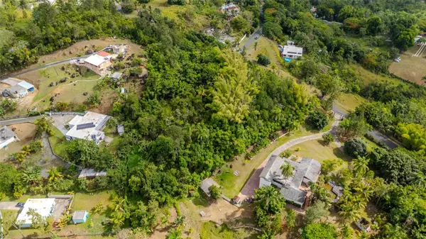 URB LA ESMERALDA A1 ORQUÍDEA, Caguas, PR 00725