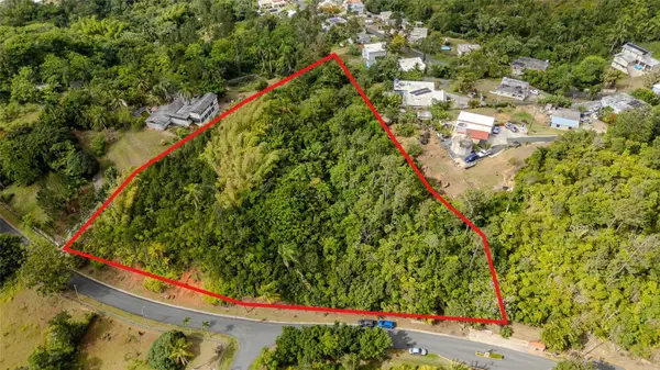 URB LA ESMERALDA A1 ORQUÍDEA, Caguas, PR 00725