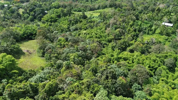PR-183, San Lorenzo, PR 00754