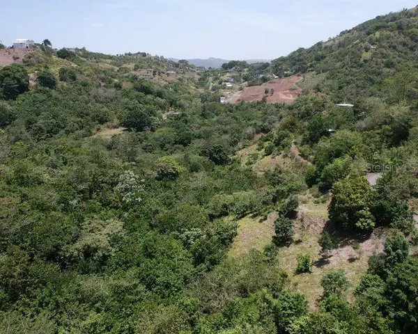 HACIENDA DE CIDRA, RABANAL PARCELA #32, Cidra, PR 00739