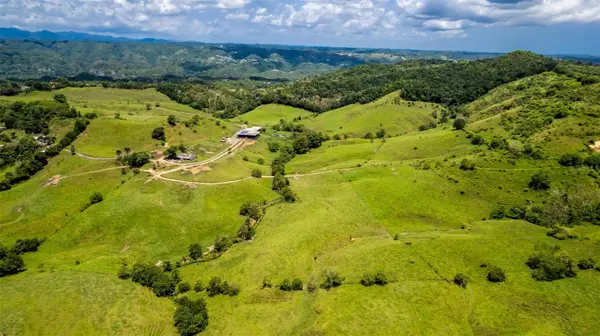 Km 1.6 633, Morovis, PR 00687