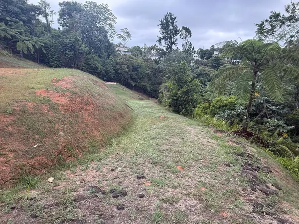 BO CEDRO ARRIBA CARR 809, KM 2 HM 2 INTERIOR, NAR, Naranjito, PR 00719