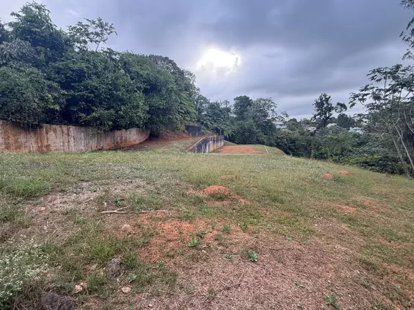 BO CEDRO ARRIBA CARR 809, KM 2 HM 2 INTERIOR, NAR, Naranjito, PR 00719