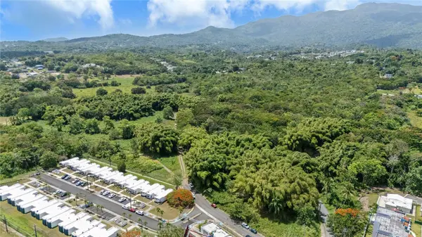 956 GUZMAN ABAJO, Rio Grande, PR 00745