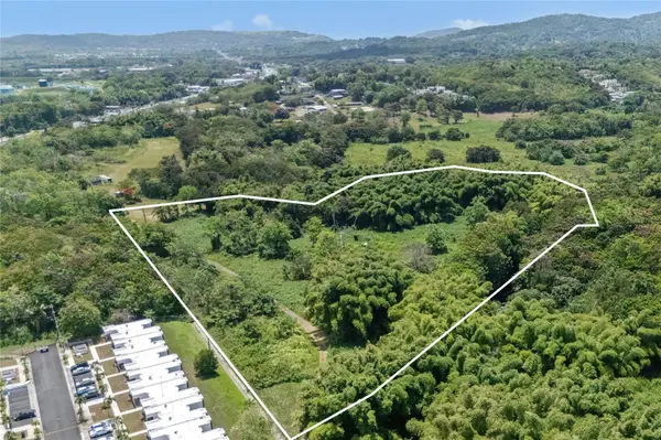 956 GUZMAN ABAJO, Rio Grande, PR 00745
