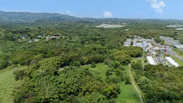 956 GUZMAN ABAJO, Rio Grande, PR 00745