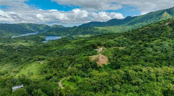 Carr. 140 KM 17.9, Utuado, PR 00641