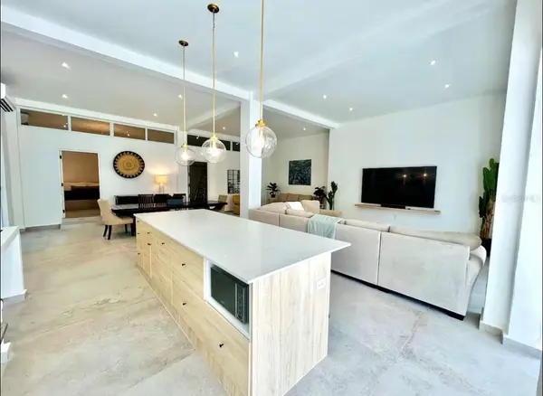 107 LOIZA, San Juan, PR 00911