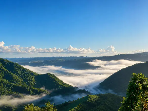 BO. FRONTON CARR 146 KM 18.6, Ciales, PR 00638
