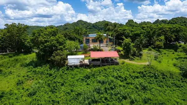 BO. FRONTON CARR 146 KM 18.6, Ciales, PR 00638