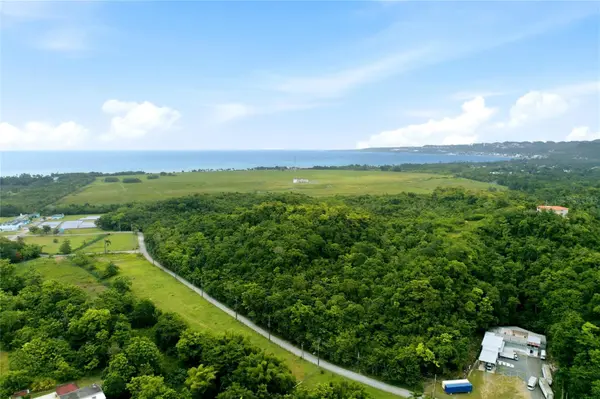 CARR 115, KM 25.000 BO. ASOMANTE, Aguada, PR 00602