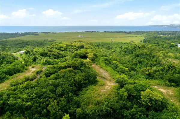 CARR 115, KM 25.000 BO. ASOMANTE, Aguada, PR 00602