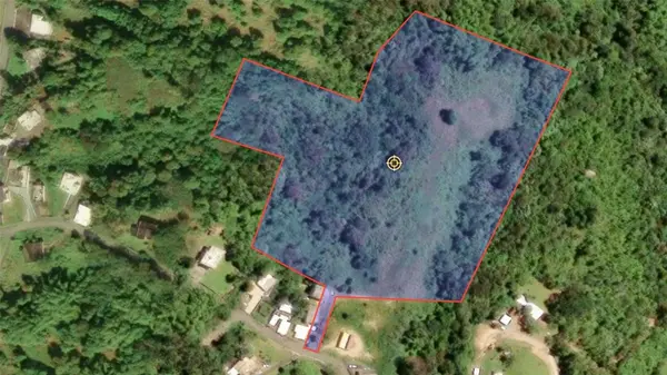 BO VALENCIANO ARRIBA CARR 919 KM 4.0, Juncos, PR 00777