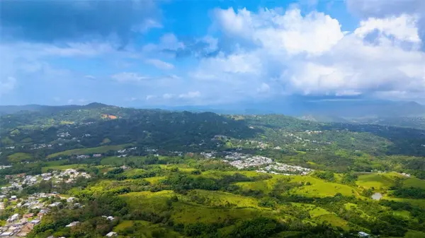 BO VALENCIANO ARRIBA CARR 919 KM 4.0, Juncos, PR 00777