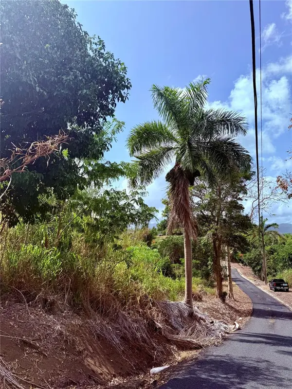 857 ROUTE #km 6.8, Carolina, PR 00987