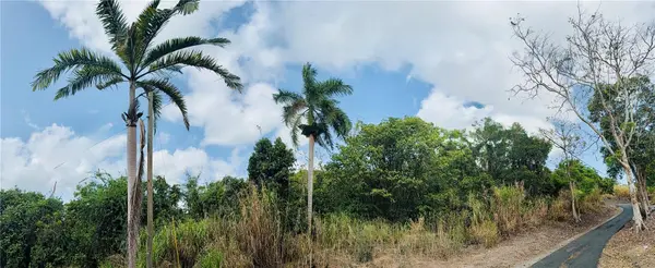 857 ROUTE #km 6.8, Carolina, PR 00987