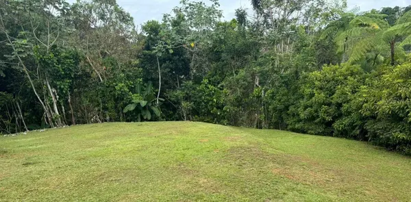 Address not disclosed, Bayamon, PR 00956