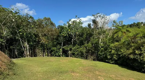 Address not disclosed, Bayamon, PR 00956