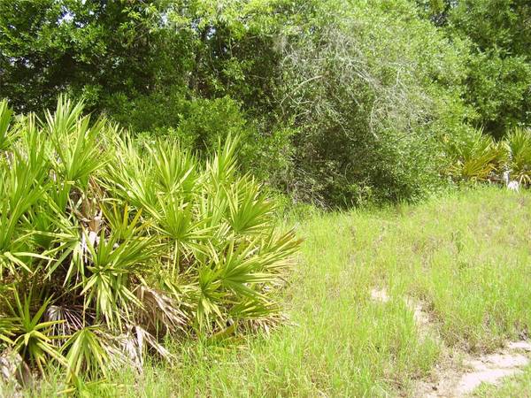 1457 KISSIMMEE WAY, Kissimmee, FL 34759