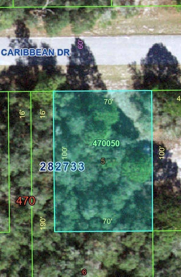 1220 CARIBBEAN DR, Kissimmee, FL 34759