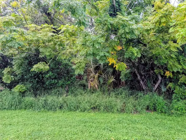 GREEN BRIAR DR, Lady Lake, FL 32159