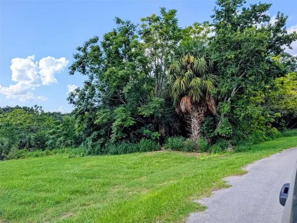 GREEN BRIAR DR, Lady Lake, FL 32159