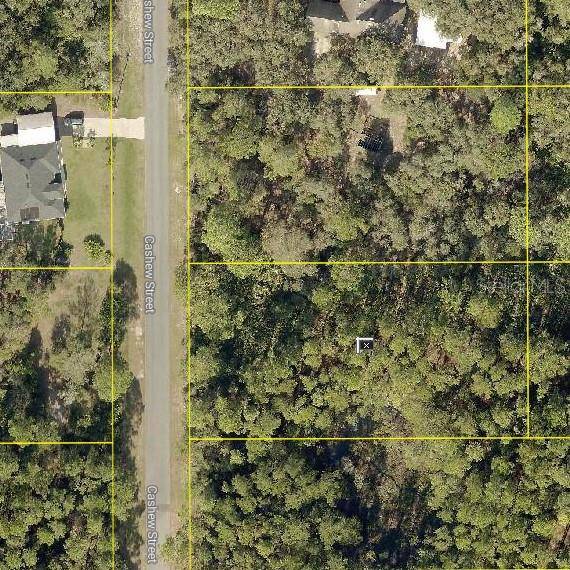 Eustis, FL 32736