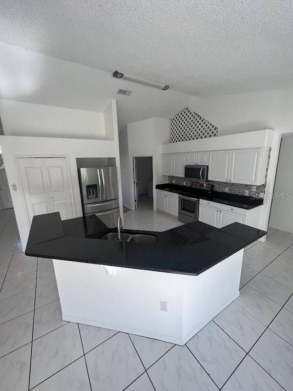 733 SUNRIDGE WOODS BLVD, Davenport, FL 33837