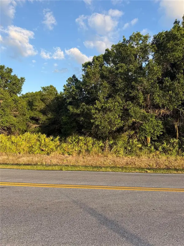 0 ALTURAS BABSON PARK CUTOFF ROAD, Lake Wales, FL 33859