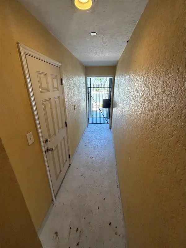 4817 TUSCAN LOON DR, Tampa, FL 33619